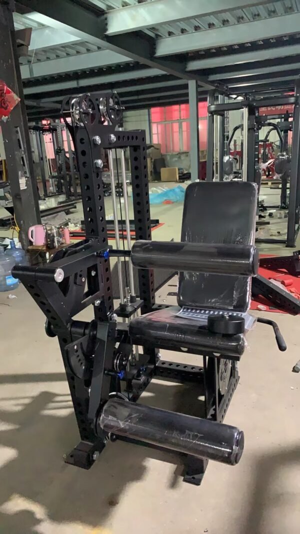 Leg extension curl Pro